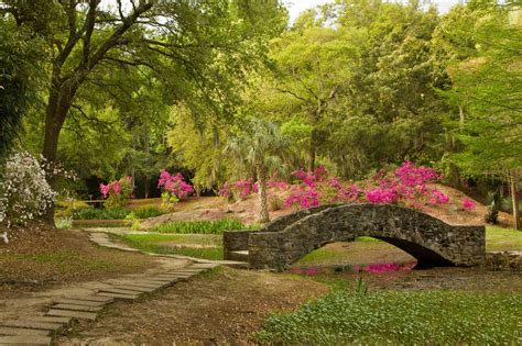 Jungle Gardens Near New Orleans Is Incredibly Unique