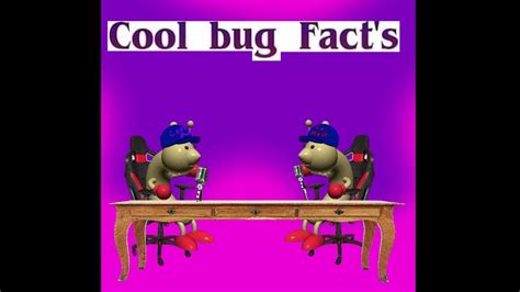 Cool Bug Facts Ep1 Youtube