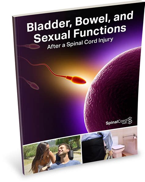 Bladder Bowel And Sexual Functions After A Spinal Cord Injury Sci Survivors