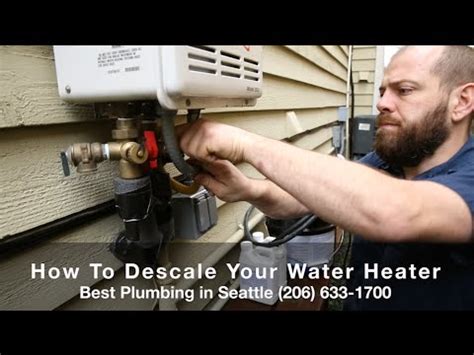 How To Descale A Tankless Water Heater Best Plumbing And Sewer