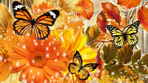 Download Yellow Orange Color Butterfly Flower Artistic Fall Hd
