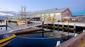 Constitution Dock - Hobart, Tasmania Attraction | Expedia.com.au