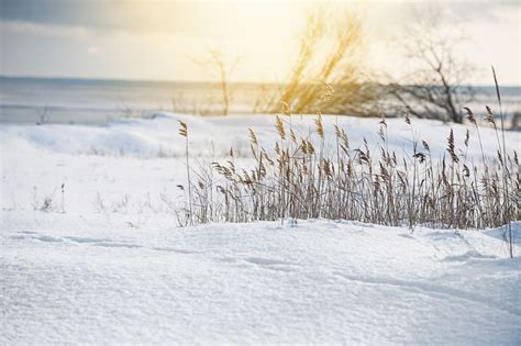Sunny Winter Landscape Free Stock Image Barnimages