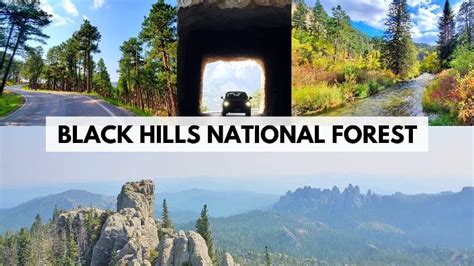 7 Things To Do In Black Hills National Forest Hikes Scenic Drives