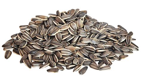 Sunflower Seeds Png Images Free Download