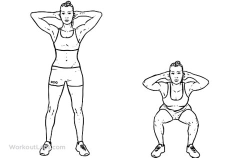 Bodyweight Squat Illustrated Exercise Guide Workoutlabs