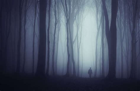 Spooky Dark Forest With Mysterious Man Walking On A Path Frank Morin