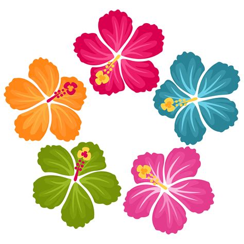 Hibiscus Flower Pictures Clip Art 10 Free Cliparts Download Images On
