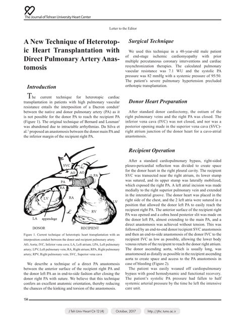 Pdf A New Technique Of Heterotopic Heart Transplantation With Direct