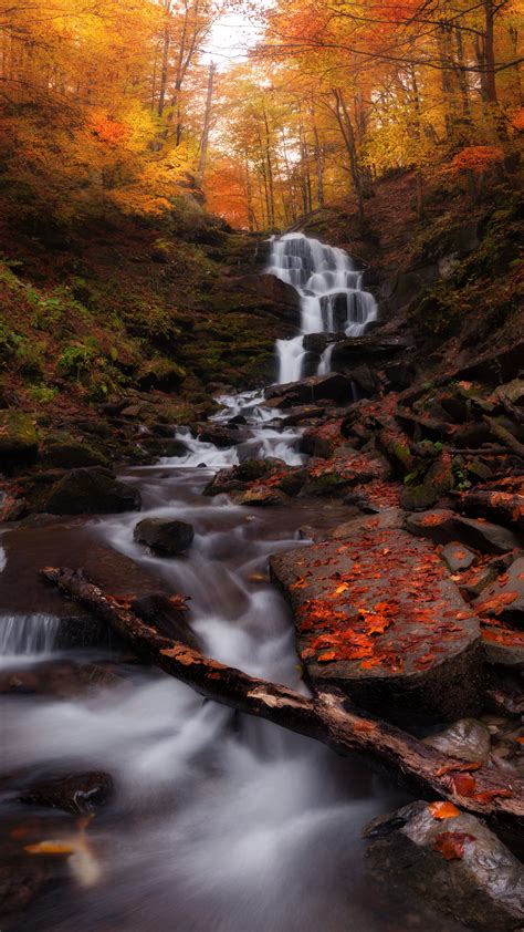 Download Autumn Forest Water Current Waterfall Nature 2160x3840