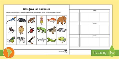 Ficha De Actividad Clasificación De Animales En Su Grupo