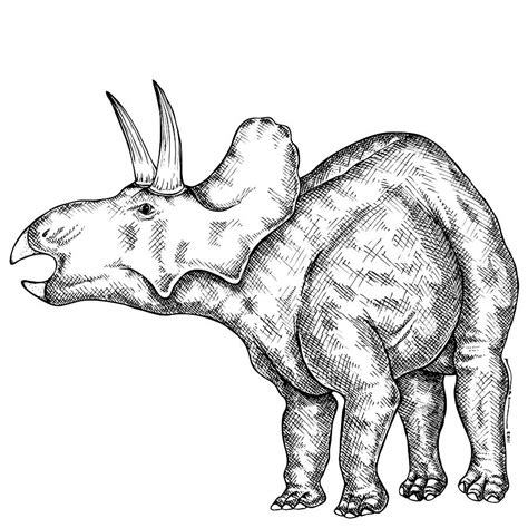 Nedoceratops Drawing By Karl Addison Fine Art America