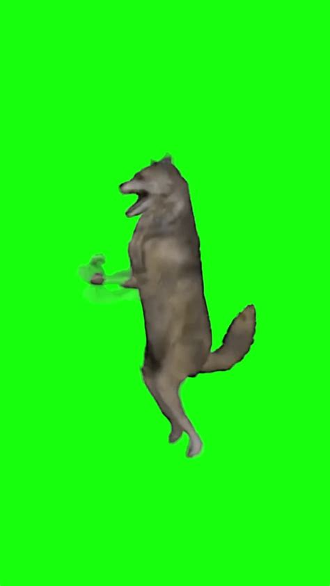 Dancing Wolf Meme Green Screen
