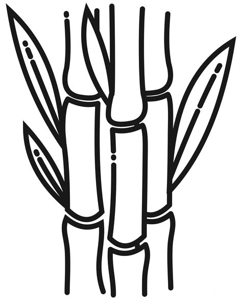 Sugarcane Coloring Page Colouringpages