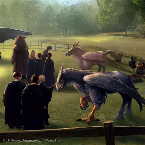 Pottermore Pottermore On Instagram Hippogriff They Have The