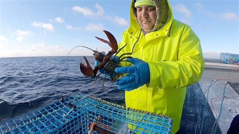 60 Second Excursion Lobster Fishing Off The Southern Coast Of Nova