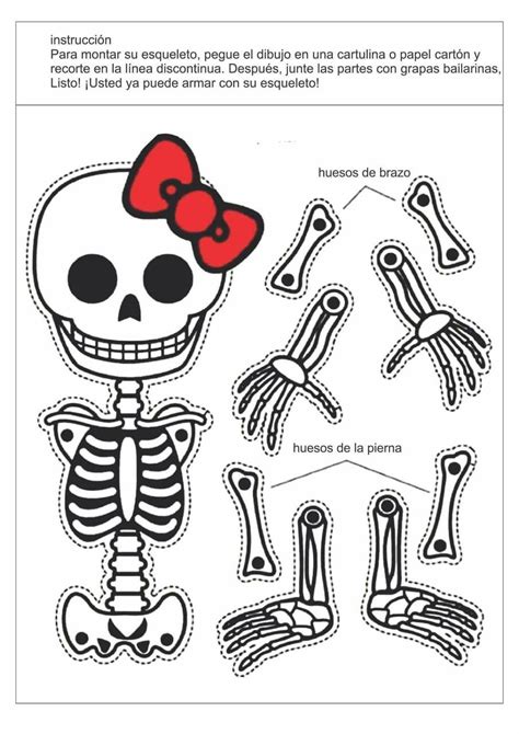 Esqueletos Recortables Dale Detalles Esqueleto Para Armar