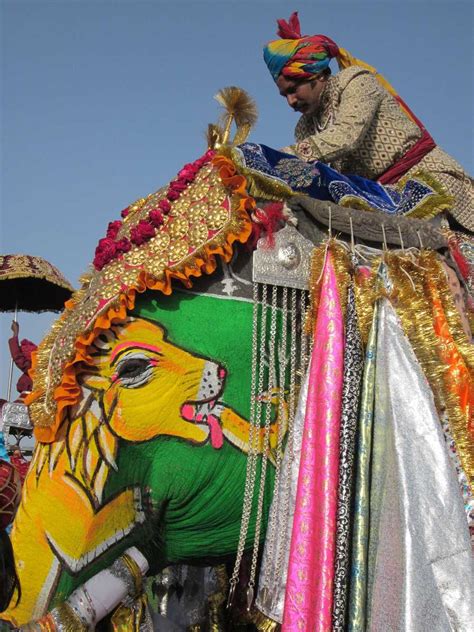 Elephant Festival Jaipur 2024 Dates Events Photos And More