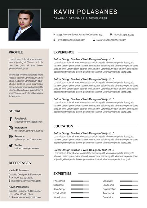 Cv Template For Ms Word Professional Resume Template Cover Letter