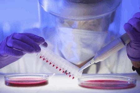 To develope secondary growth or established cells from primary culture by repeated subculture. Contamination Risk Mitigation In Cell Culture Media ...