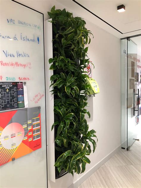 Climate Positive Living Walls Living Wall Concepts