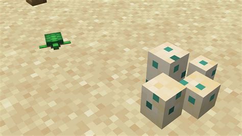 Turtle Eggs In Minecraft All You Need To Know