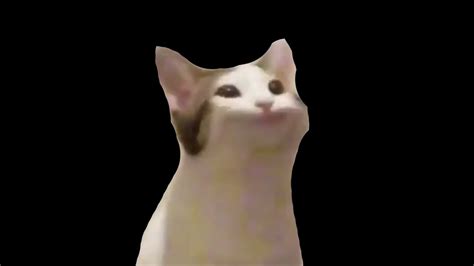 Beluga Belupacito Pop Cat Version Un Official Video Youtube