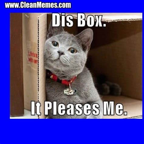 The internet loves cats whether they're grumpy, happy, sad, or just moments from creating mischief. Watch the Suprising Funny Clean Warrior Cat Memes ...