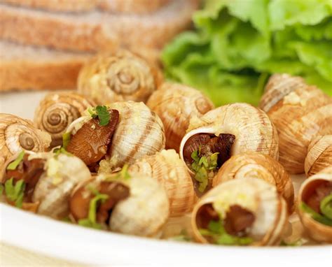 What Does Escargot Taste Like The Ultimate Guide The Kitchen Journal