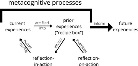 Metacognitive Processes That Support Learning From Experience To Inform