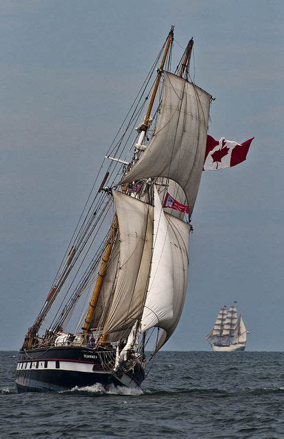 Ships St Lawrence Ii Canadian Tall Ship At The Start