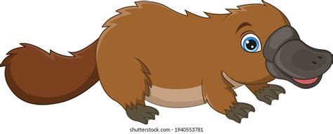 Cartoon Cute Platypus Isolated On White Stock Vector Royalty Free