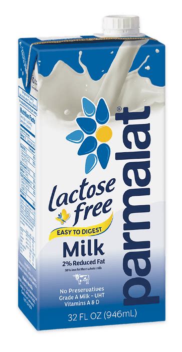10 Lactose Free Milk Brands That Taste Delicious Soocial