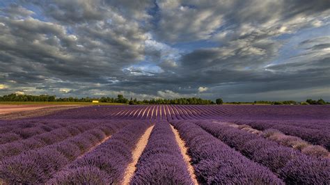An Afternoon In Provence Explore Antonio Rino Gastaldi Flickr