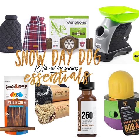 Snow Day Dog Essentials Dog Essentials Snow Day Snow Dogs