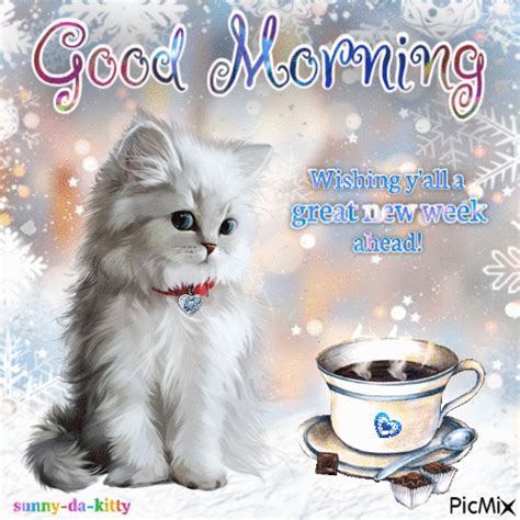 Good Morning Good Morning Winter Good Morning  Good Morning Cat