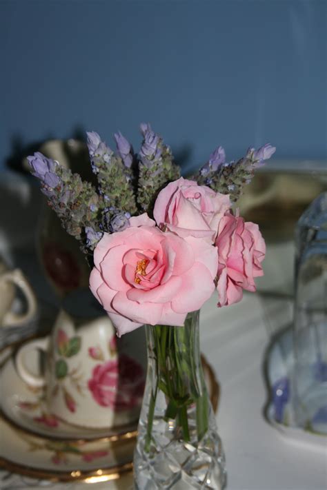 Free Images Table Blossom Petal Love Vase Decoration Spring