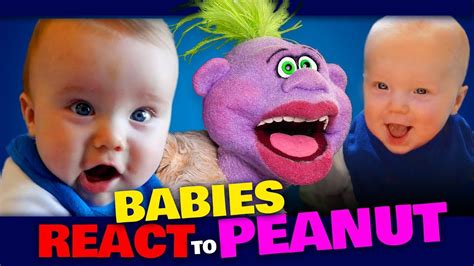 Babies React To Peanut Jeff Dunham Jeff Dunham Dunham Baby