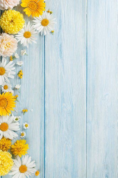 Find an image you like on wallpapertag.com and click on the blue download button 6. Garden flowers over wooden background stock photo | Fundo ...
