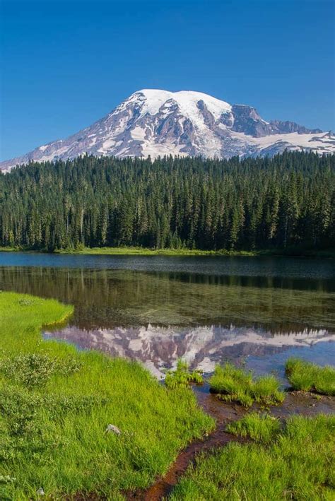 Hike To Reflection Lakes Visit Rainier