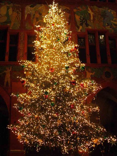 Feliz navidad, contemporary christmas, classical christmas music. Christmas Tree Pics 02