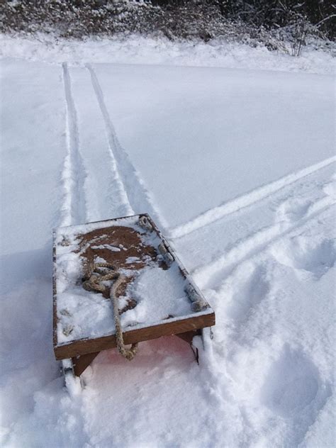 Homemade Sledding Device Snowy Pictures Sled Snowy