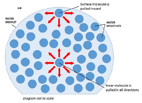 0 5 × 1 g = 0. What is surface tension? What experiments related to it ...