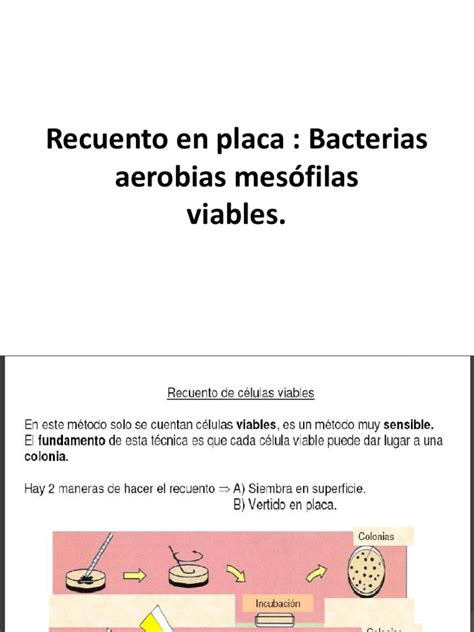 1recuento En Placa Bacterias Aerobias Mesófilas Pdf
