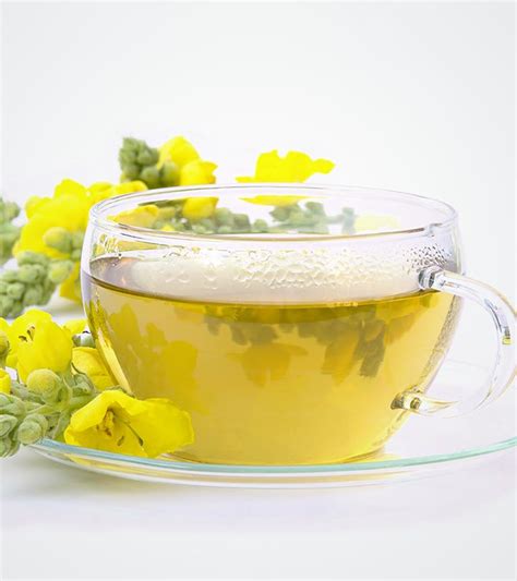 11 Impressive Health Benefits Of Mullein Tea How To Make