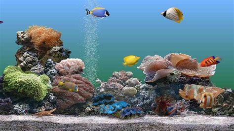 Download a Nice Aquarium ScreenSaver For Your Windows