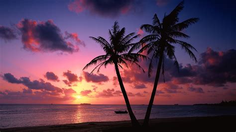 Tropical Screensavers And Wallpaper 50 Images