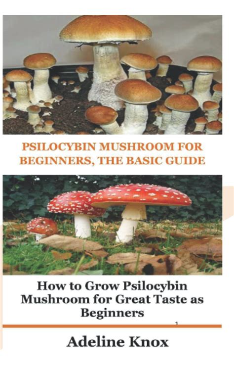 Buy Psilocybin Mushroom For Beginners The Basic Guide How To Grow