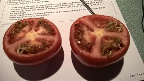 Two Of My Tomatoes Were Sprouting Inside When I Sliced Them Open They