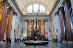 American Museum of Natural History | Museums in Upper West Side, New York
